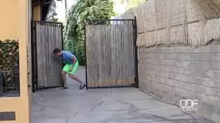 كلب بيلحس في كس