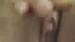 حمالة صدر خداع السيولة النقدية