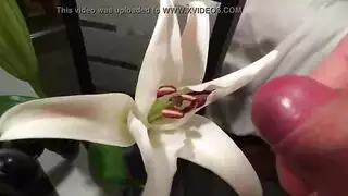 شقراء مدهونة تركب بقوة في مشهد طبعة الزهور