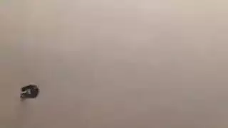 الرل