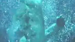 نيك ايري