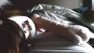 نيكورعانشواذسالبصغار