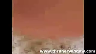 أكشن حيواني خام: نساء تأخذ أعضاء ذكور الحيوانات