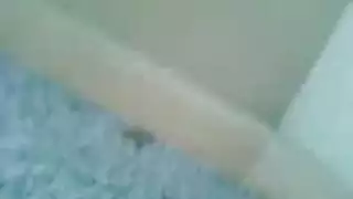 سكس حقيقي نساء مع كلاب