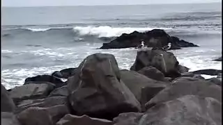 جوككيون شعر مصبوغ كس