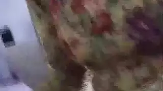 مشهد عربي لـ حفلة البهيمية المحرمة