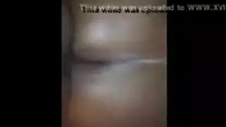 مضاجعة عبر الولايات