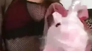 فتانات بمؤخرات كبيرة في مشاهد إكس إكس إكس