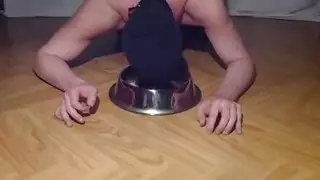 صور فاضحة: معرض إباحية صريح