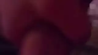 الكلبات الشماليات الشقراوات في إباحية عنيفة
