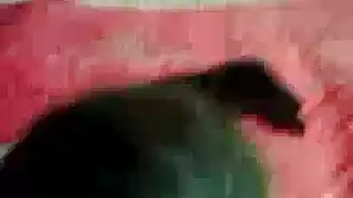 عاهرة ريفية تفتح ساقيها لقضيب جارها