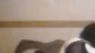 مساعد الأخت المشاغب – خدمة إباحية كاملة