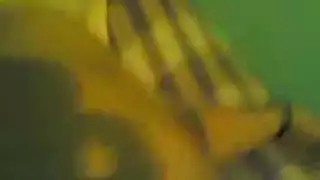 أمه تعبت من التنظيف وهو يقذف دون انهاء