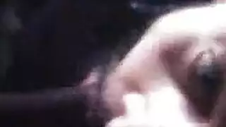 فلدي المتأنق الأبيض الاسترخاء قبل أن الباب الخلفي