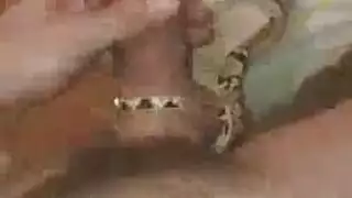 نجمتنا البرازيلية الإباحية تكشف بظرها المنتفخ