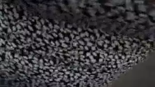 فوتها الواقف غصبا عنا حب عربي