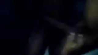 سيلڤا