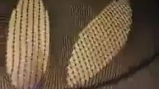 شاكيرا كاس العالم تنتاك من غير زوجها