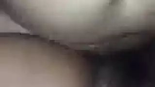 كتل بل عودة