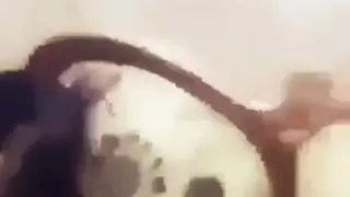 مبادل البصره