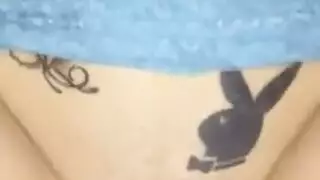 ويولتي