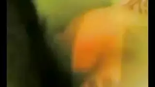 ركوب كس بقضيب