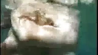 دكتور ريدى حثن