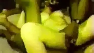 الميد الظدارسةnbji3o9cpd7b