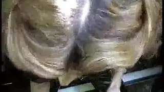سكس جزايري ينك شرموطة في وهرن