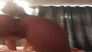 نيچ بمال