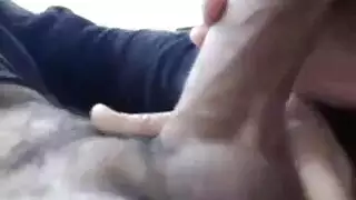ينيك كسها الشره بينما صاحبه يدلك زبه المنتصب