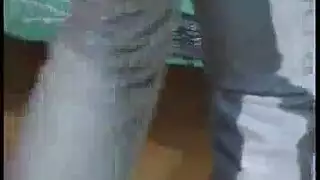 غريبات مثيرات ترتدين الكعب لمص القضيب والجنس بوضعية الكلب