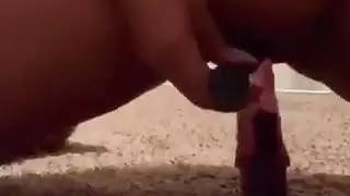 الجبهة العربية ارضاء نفسها مع لعبة