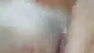 كلب حيوان ينج بنت
