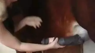 سكس حيوانات إكس إكس إكس: شقراء تُدك بقضيب حصان ضخم