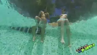 تقنيات نجوم البورن للجنس الفموي على كس متحرك