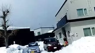 خالات ضخمات يتم تلبيدهن في كس مشعر وتحت الإبط