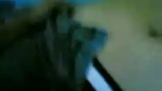 بنت تضرب زب وتضرب