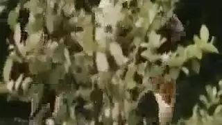 إباحية منزلية: فتاة هواة في حركة مكشوفة