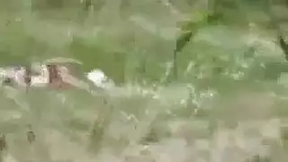 جنس آلي من نجم بورنو نحيل