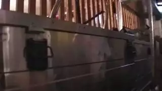 جماع جماعي لسيدة ناضجة يائسة مفلسة