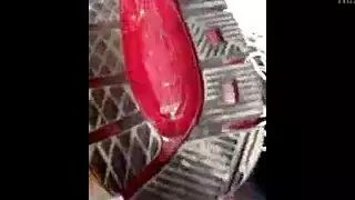 عرض سيرك عام يتحول إلى جنس جماعي