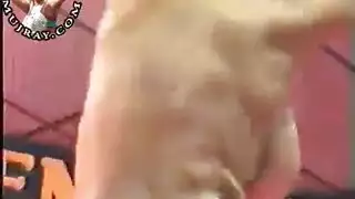 راقصه هنديه أمام الجمهور تشلح