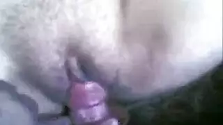 نيك مصري قبيح من رجل و مره