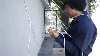 لقاءات خيلية: مشهد إباحية مع الحيوانات