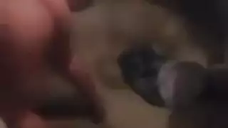 عربي مصري