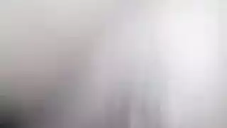 الجمال الثمل يأخذ حمولات على وجهها