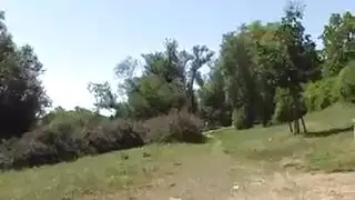 سكسلواط١٣