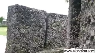 سحيقة الحيوانات البرية: صور هاردكور متحركة للحمار