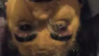  جلسة جماعية عنيفة مع عدة عشاق